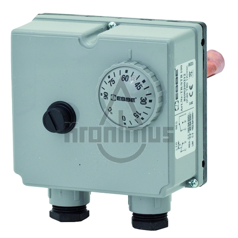 2112050055a12b46a2c66e Esbe Doppelthermostat TIB 121