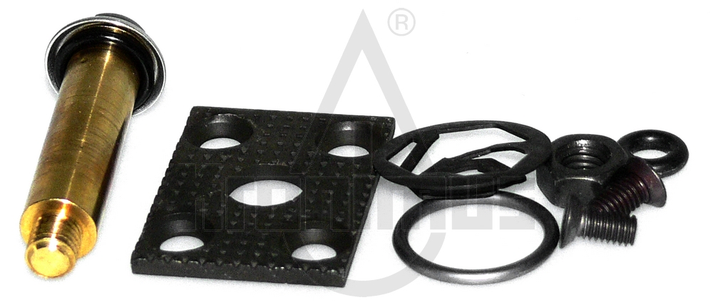 Magnetventilkern mit Mutter für Suntec AP (991450)