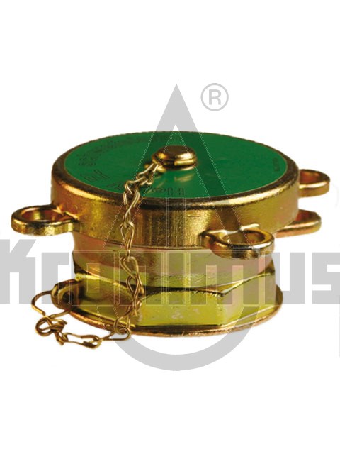 1183072055a156ab748c76 Füllrohrverschluß Messing 2" x 2 1/2", mit grünem Deckel