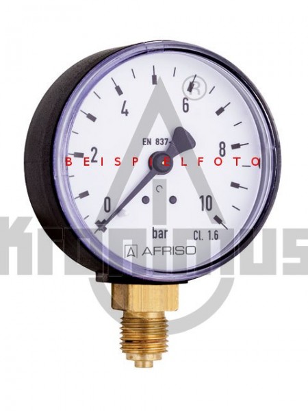 Manometer R 1/4" radial 0-6 bar, 50 mm